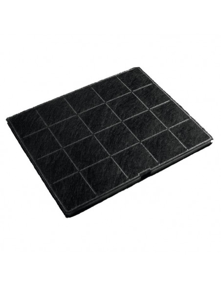 Filtro Carbon Electrolux ECFB01