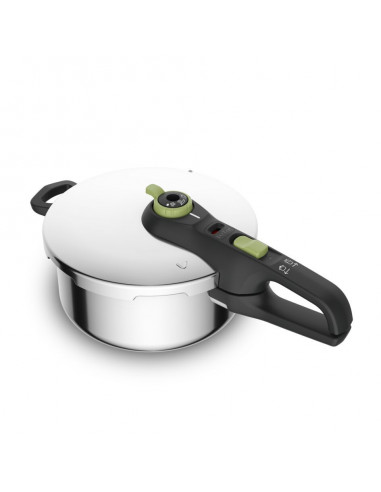 Olla a Presion Tefal P2580400  4L  Verde  Secure T