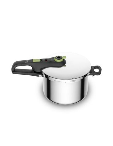 Olla rapida Tefal P2580703  6L  Verde  5 sistemas