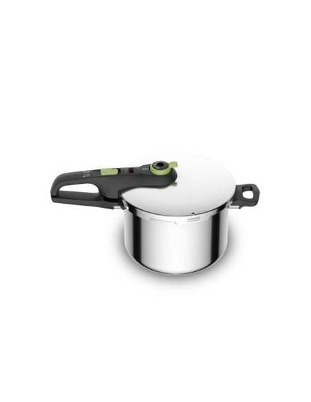 Olla rapida Tefal P2580703  6L  Verde  5 sistemas